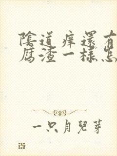 阴道痒还有像豆腐渣一样怎么办