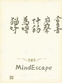 猫为什么会呼噜呼噜的声音呢