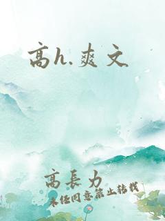 高h.爽文