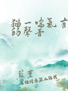 猫一喘气有呼噜的声音