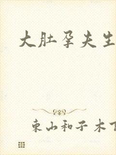 大肚孕夫生生生