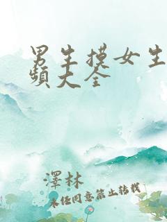 男生摸女生胸视频大全