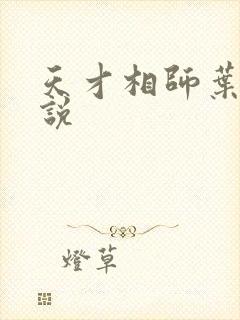 天才相师叶天小说