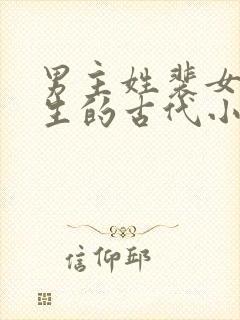 男主姓裴女主重生的古代小说