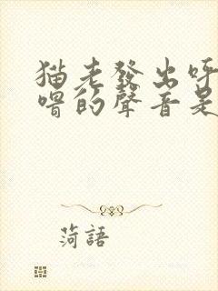 猫老发出呼噜呼噜的声音是为什么