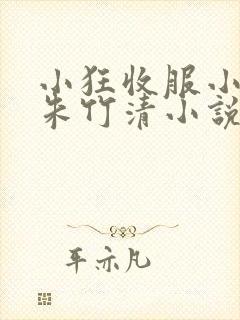 小狂收服小舞,朱竹清小说免费阅读