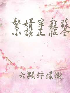 赘婿宁毅苏檀儿小说正版全文下载