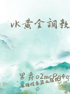 vk黄金调教