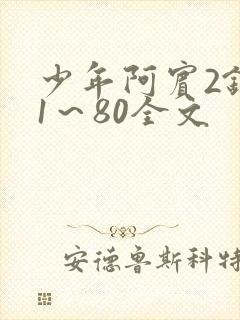 少年阿宾2钰慧1～80全文