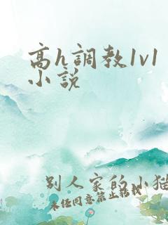高h调教1v1小说