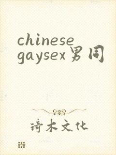chinesegaysex男同