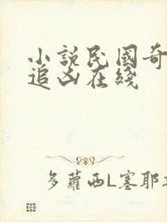 小说民国奇探之追凶在线