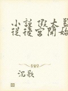 小说 假太监:从后宫开始