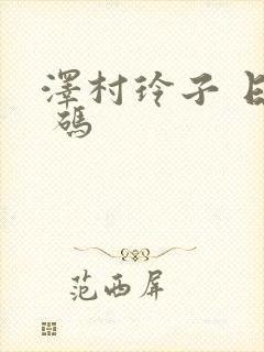 泽村玲子 日韩 码