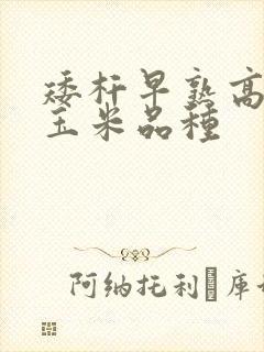 矮杆早熟高产甜玉米品种