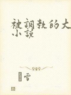 被调教的大小姐小说