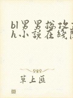 bl男男总攻高h小说在线阅读