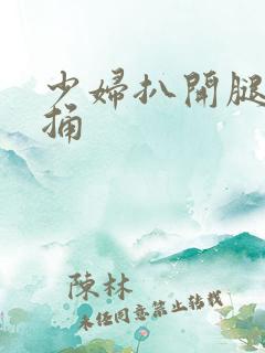 少妇扒开腿让我捅