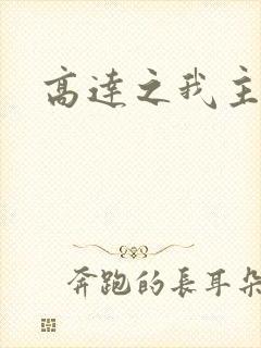 高达之我主沉浮