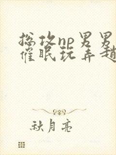 总攻np男男肉催眠玩弄赵陆