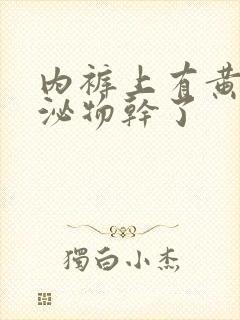 内裤上有黄色分泌物干了