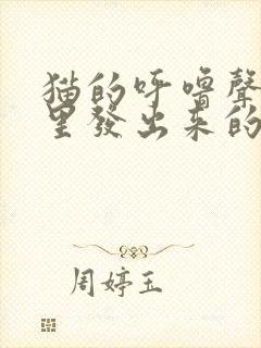 猫的呼噜声从哪里发出来的