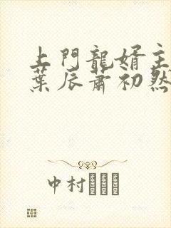 上门龙婿主人公叶辰萧初然