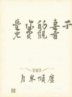 爱你的妻子日剧免费观看