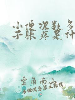 小便次数多小肚子胀疼是什么原因