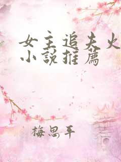 女主追夫火葬场小说推荐