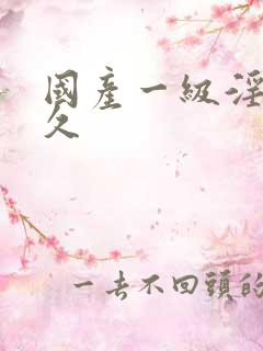 国产一级淫片久久