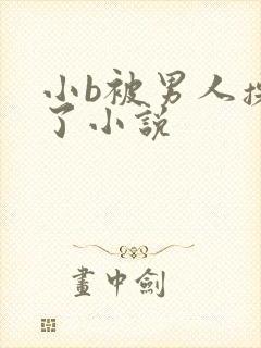 小b被男人操爽了小说