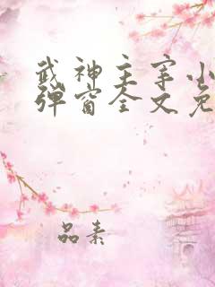 武神主宰小说无弹窗全文免费阅读