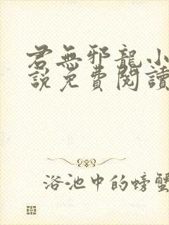 君无邪龙小幽小说免费阅读