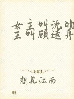 女主叫沈明月男主叫顾远舟的小说