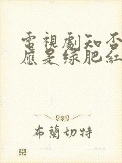 电视剧知否知否应是绿肥红瘦主题曲