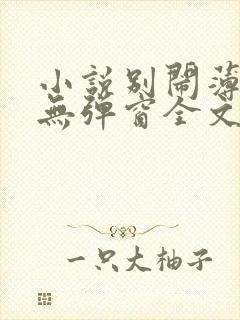 小说别闹薄先生无弹窗全文免费阅读