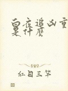 白夜追凶重逢版是什么