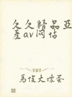 久久精品亚洲国产av网站