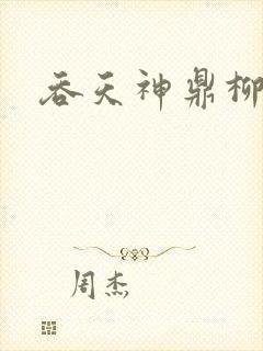 吞天神鼎柳无邪