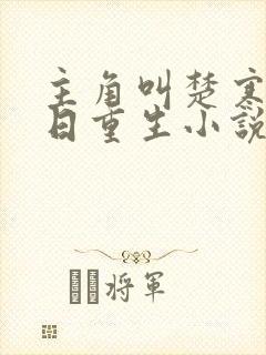 主角叫楚寒的末日重生小说