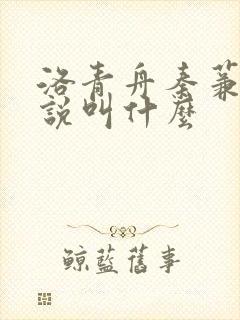 洛青舟秦蒹葭小说叫什么