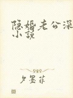 隐婚老公深夜来小说
