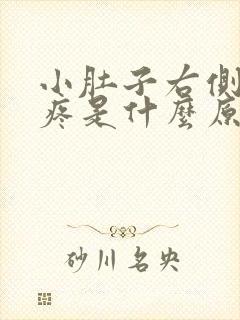 小肚子右侧有点疼是什么原因男士