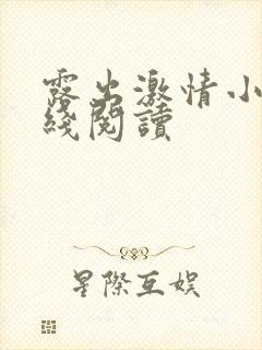 露出激情小说在线阅读