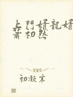 上门婿龙婿叶辰萧初然