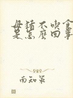 母猪不吃食还吐是怎么回事