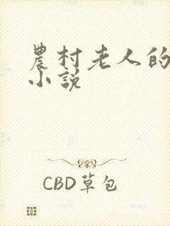 农村老人的言情小说