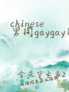 chinese男同gaygay网站