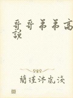 哥哥弟弟高h小说